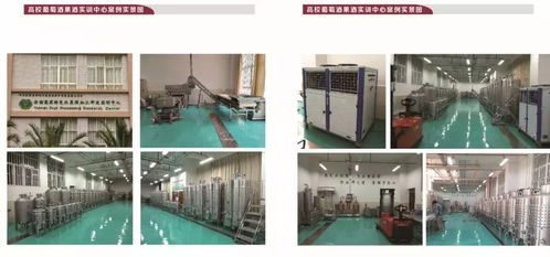 秦皇島博釀酒類技術(shù)服務有限責任公司邀您共赴2018上海果酒展